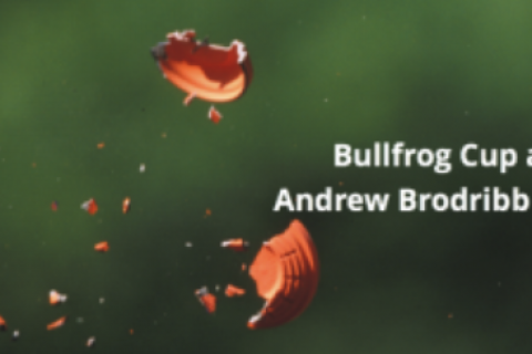 JUNE 14 - Bullfrog, Brodribb & Deauville Doubles